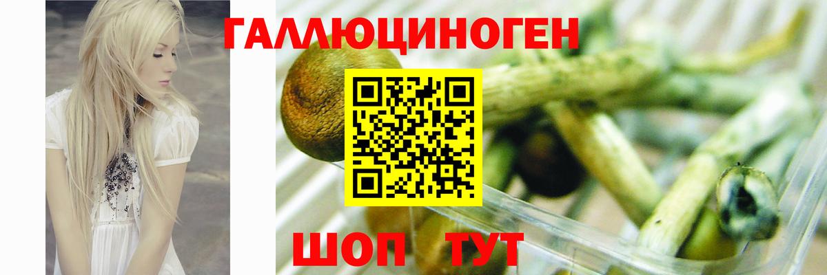 Галлюциногенные грибы мухоморы Лабинск
